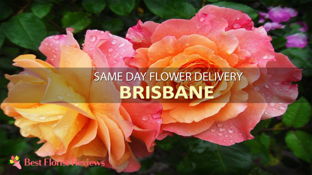SAME DAY DELIVERY BRISBANE