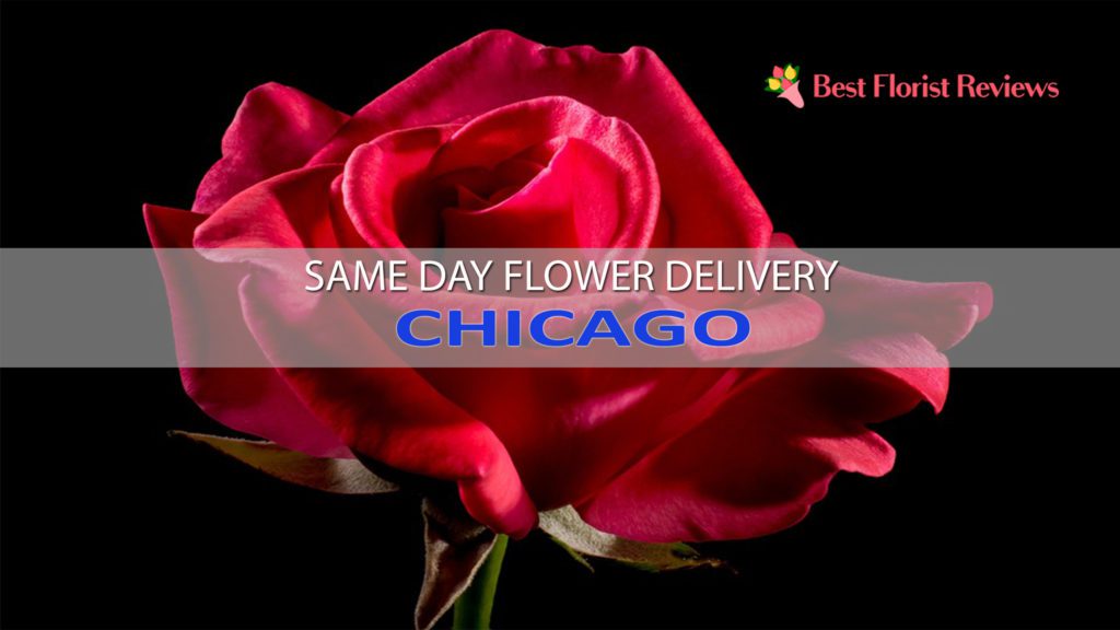 SAME DAY DELIVERY CHICAGO