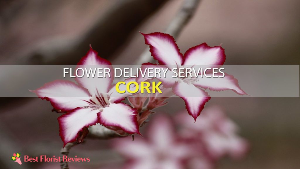BEST FLOWER DELIVERY CORK
