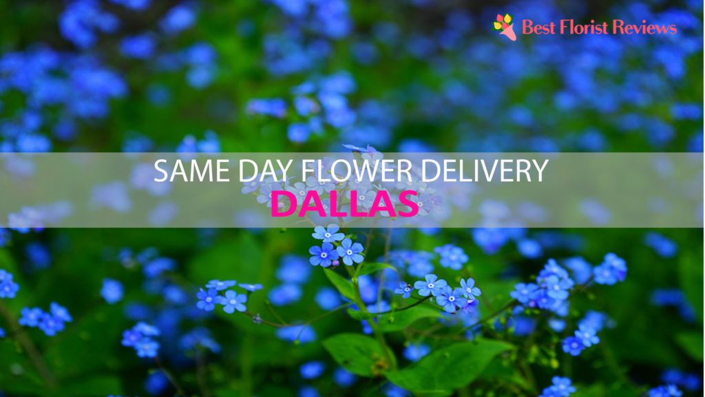 SAME DAY FLOWER DELIVERY DALLAS