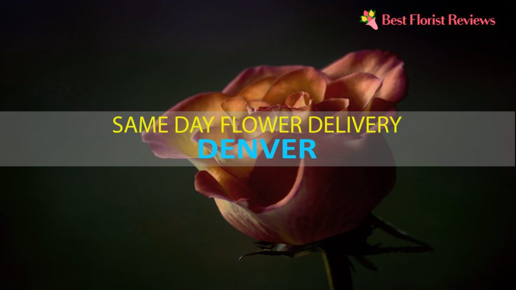 SAME DAY DELIVERY DENVER
