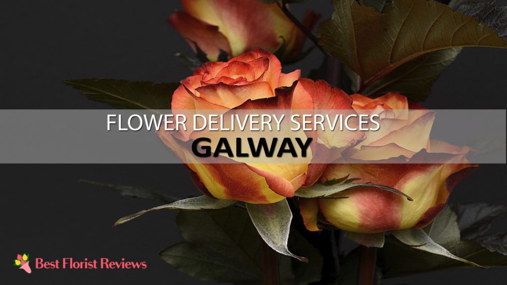 BEST FLOWER DELIVERY GALWAY