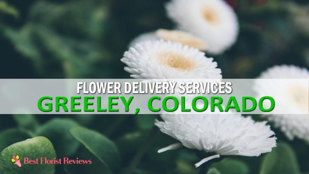 BEST FOR FLOWER DELIVERY GREELEY CO