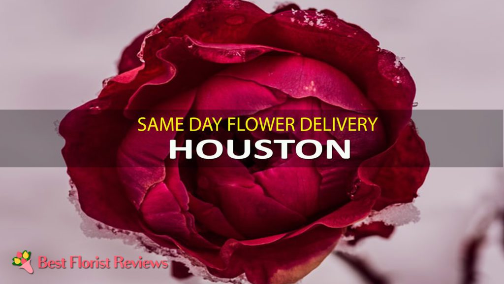 SAME DAY DELIVERY HOUSTON