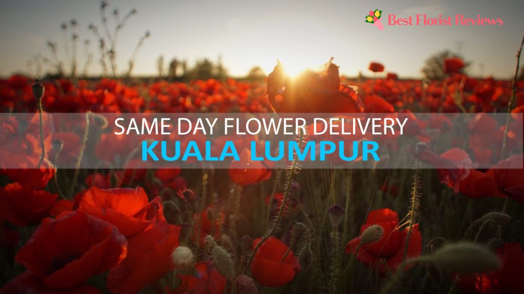 SAME DAY DELIVERY KUALA LUMPUR