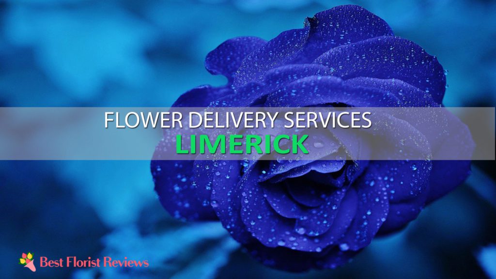 BEST FLOWER DELIVERY LIMERICK