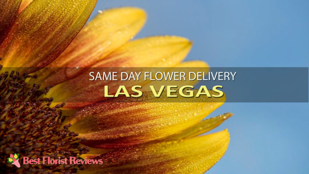 SAME DAY FLOWER DELIVERY LAS VEGAS