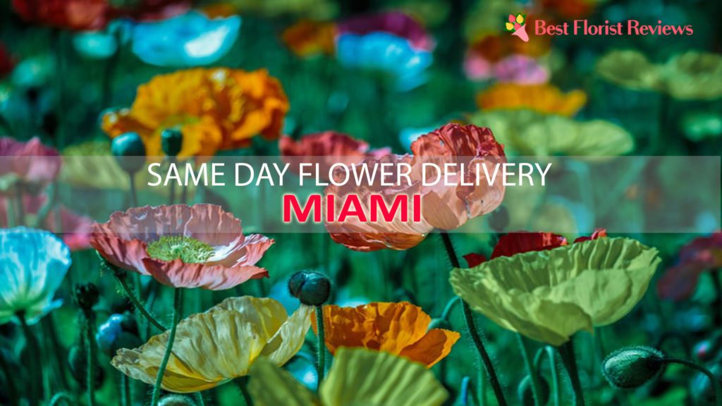 SAME DAY DELIVERY MIAMI