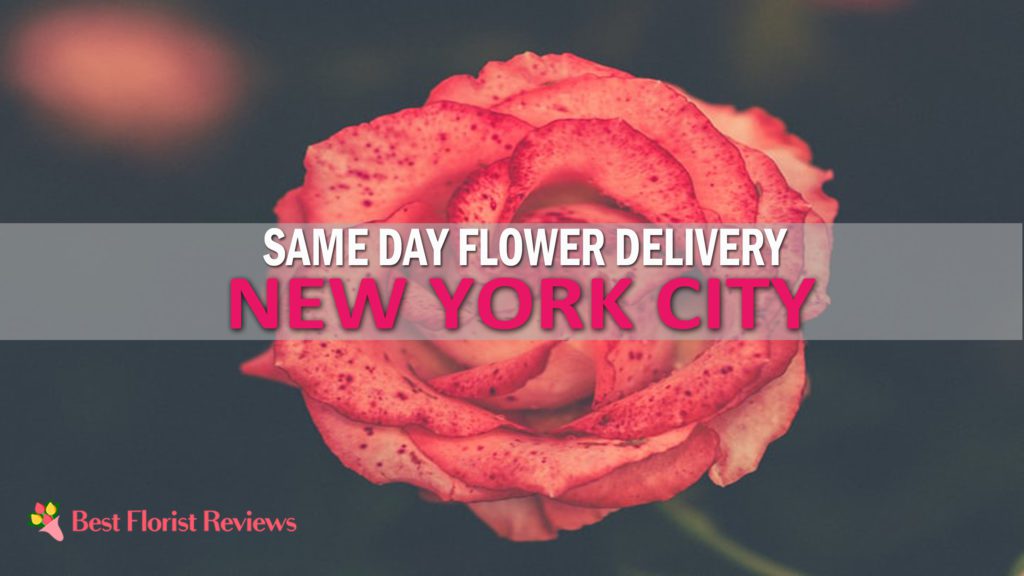 SAME DAY FLOWER DELIVERY IN NYC