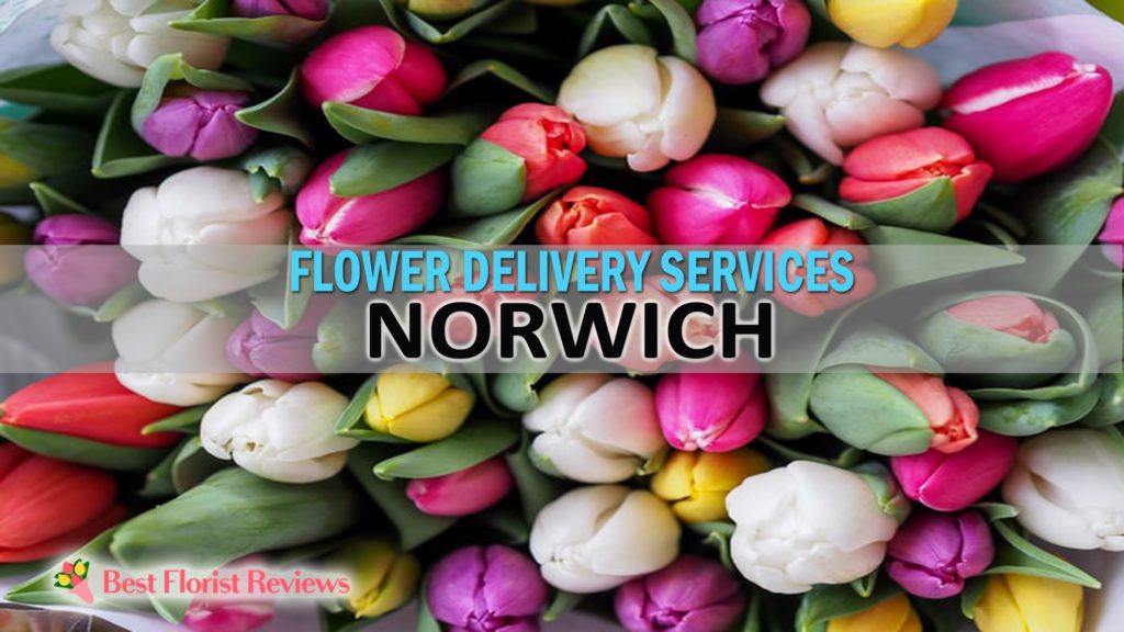 BEST FLOWER DELIVERY NORWICH