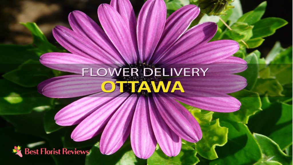 BEST FLOWER DELIVERY OTTAWA