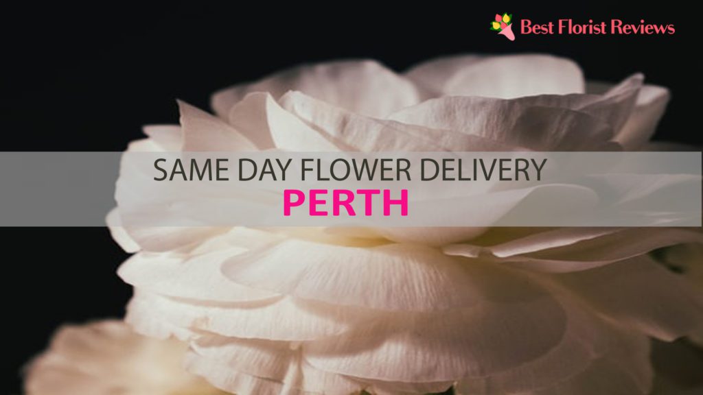 SAME DAY FLOWER DELIVERY PERTH