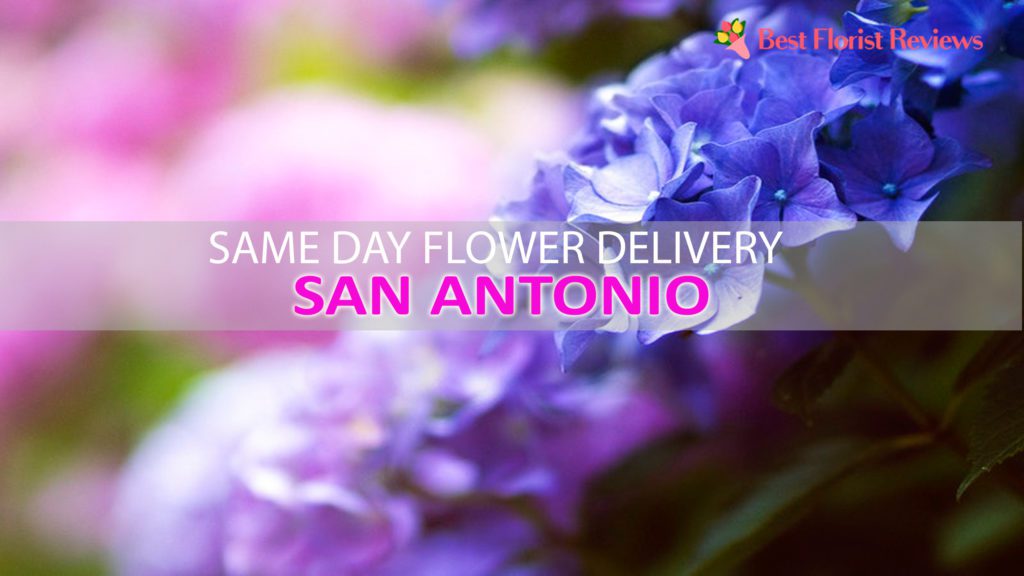 SAME DAY DELIVERY SAN ANTONIO