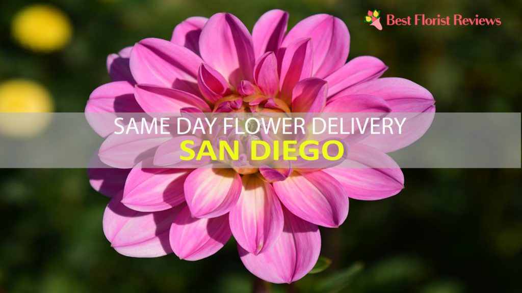 SAME DAY FLOWER DELIVERY SAN DIEGO