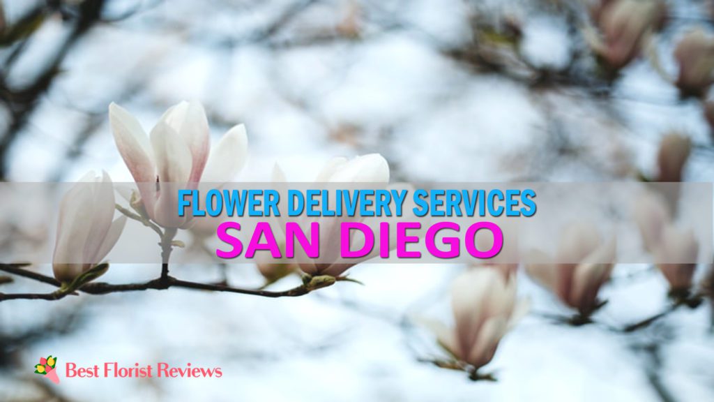 BEST FLOWER DELIVERY SAN DIEGO