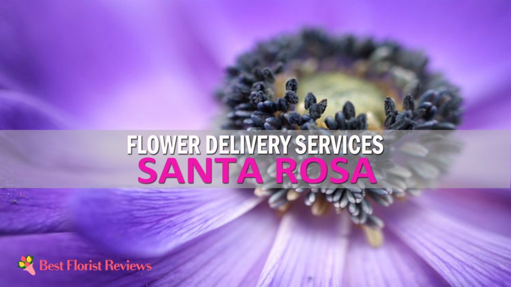 BEST FLOWER DELIVERY SANTA ROSA