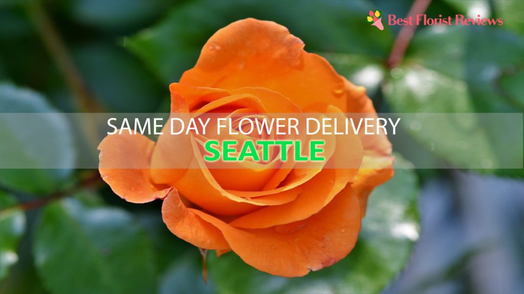 SAME DAY DELIVERY SEATTLE