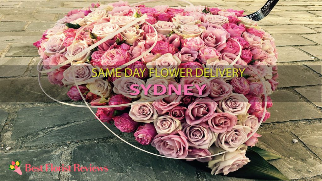 SAME DAY DELIVERY SYDNEY