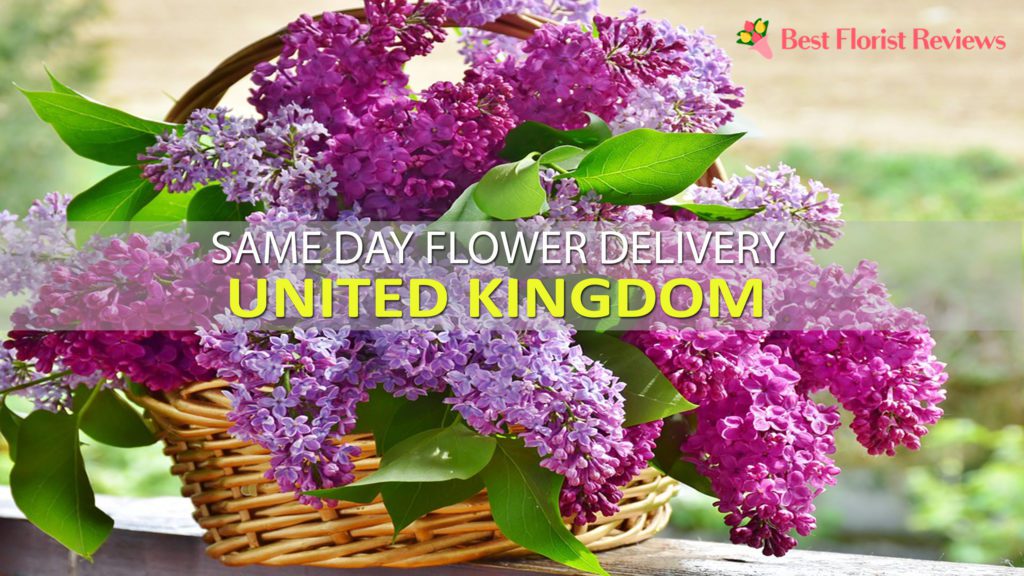 SAME DAY FLOWER DELIVERY UK