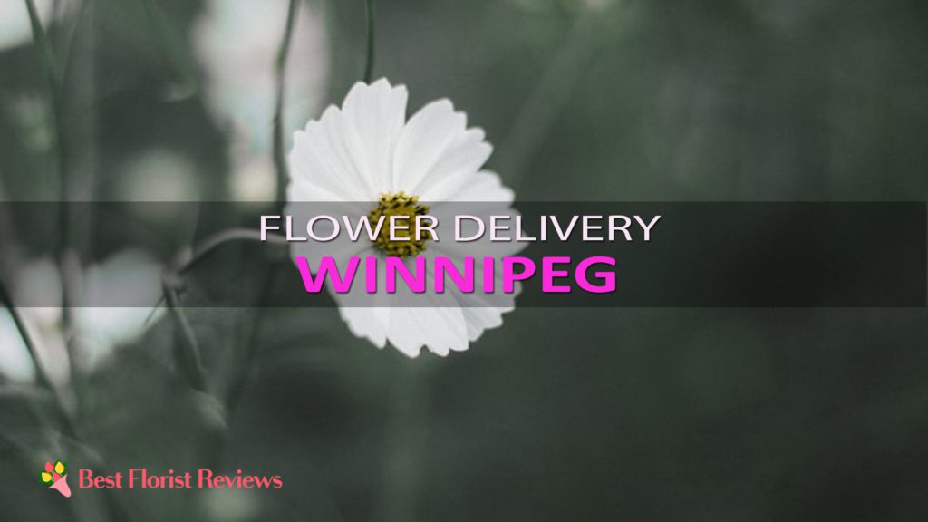BEST FLOWER DELIVERY WINNIPEG