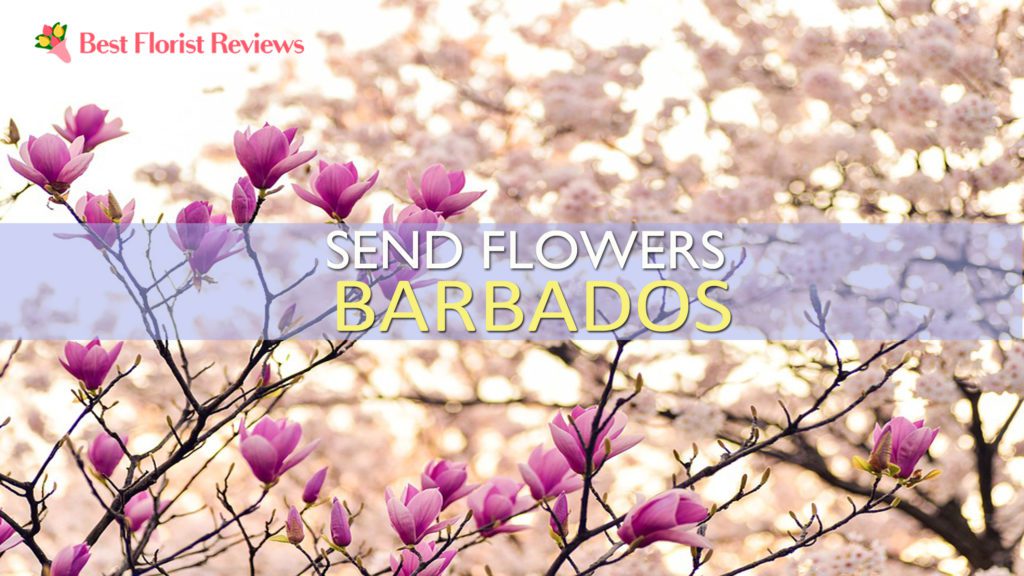 SEND FLOWERS BARBADOS