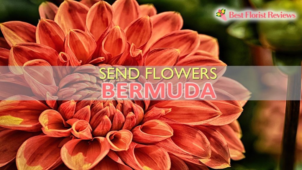 SEND FLOWERS BERMUDA