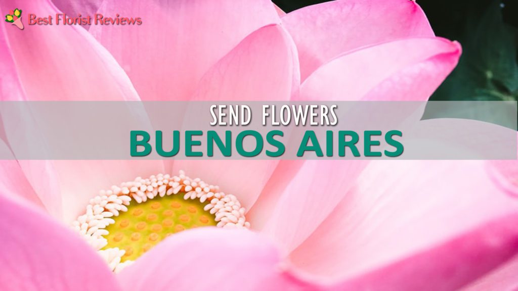BEST SEND FLOWERS BUENOS AIRES