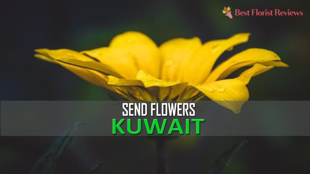 SEND FLOWERS KUWAIT