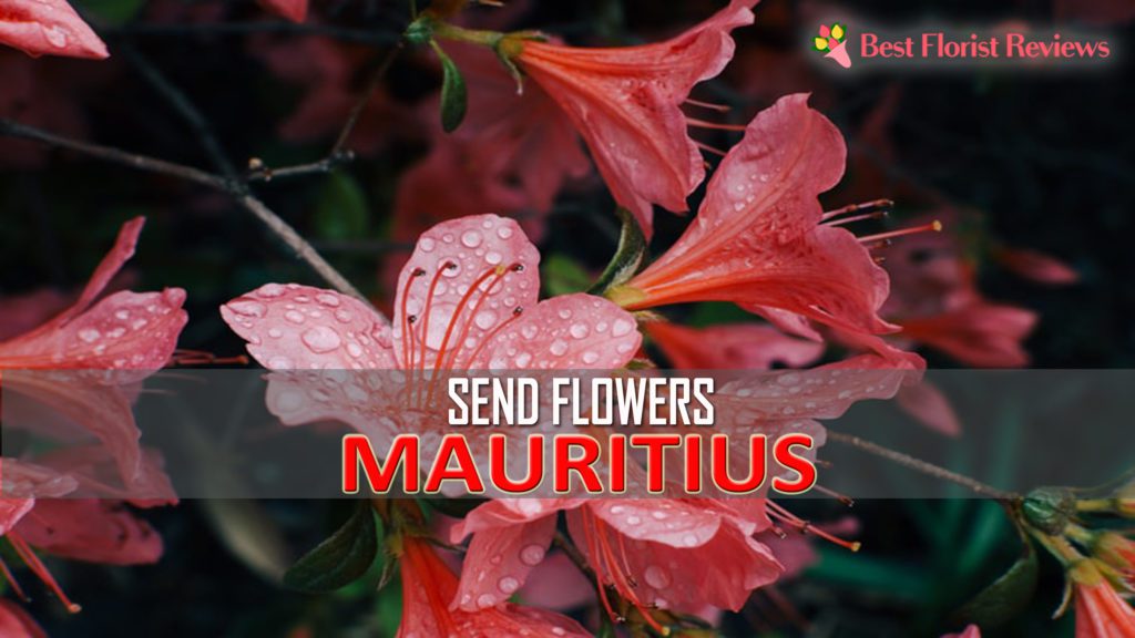 SEND FLOWERS MAURITIUS