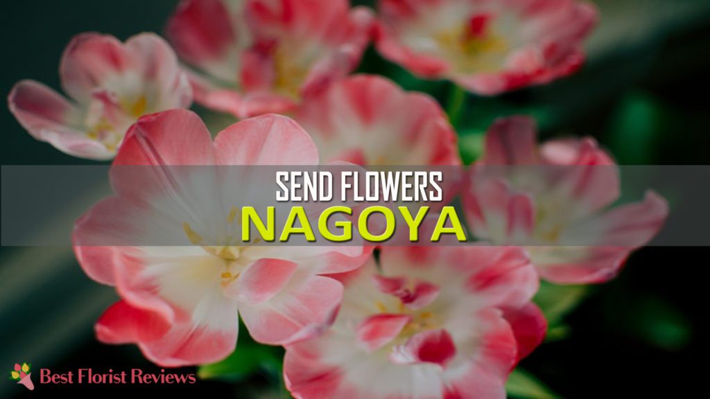 SEND FLOWERS NAGOYA