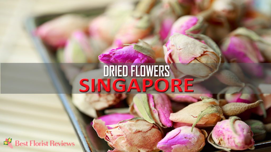 DRIED FLOWERS SINGAPORE