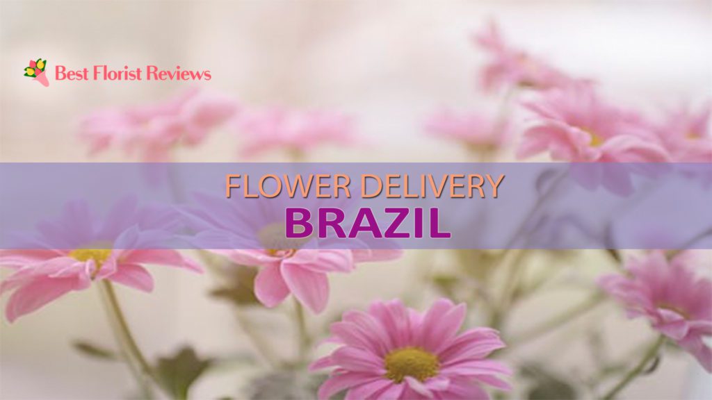 BEST FLOWER DELIVERY BRAZIL