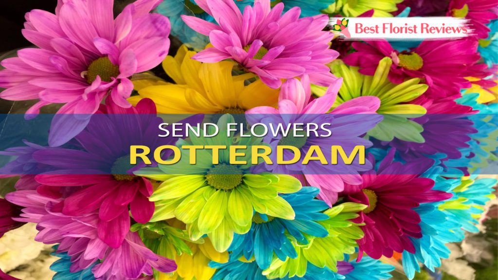 SEND FLOWERS ROTTERDAM