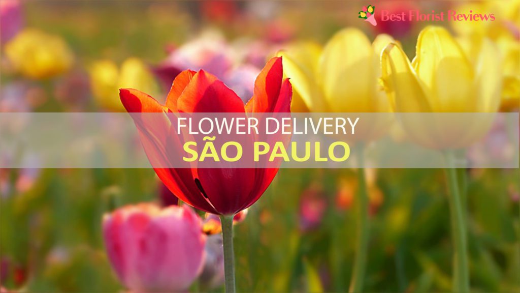 Best Flower Delivery Sao Paolo