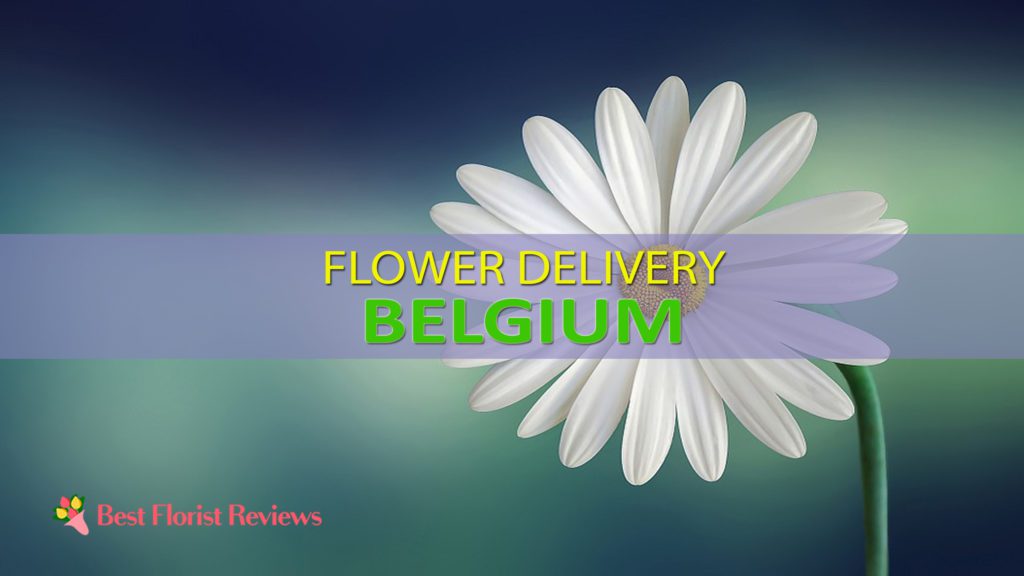BEST FLOWER DELIVERY BELGIUM