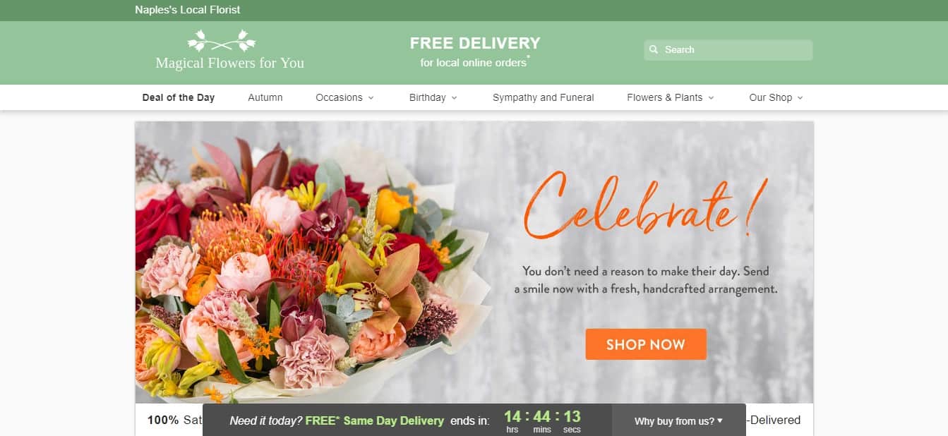 Magical Flowers' Homepage