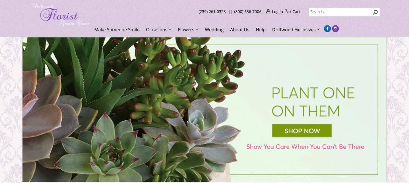 Driftwood Garden Center & Florist's Homepage
