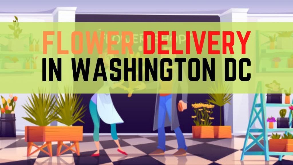 Best Flower Delivery in Washington DC