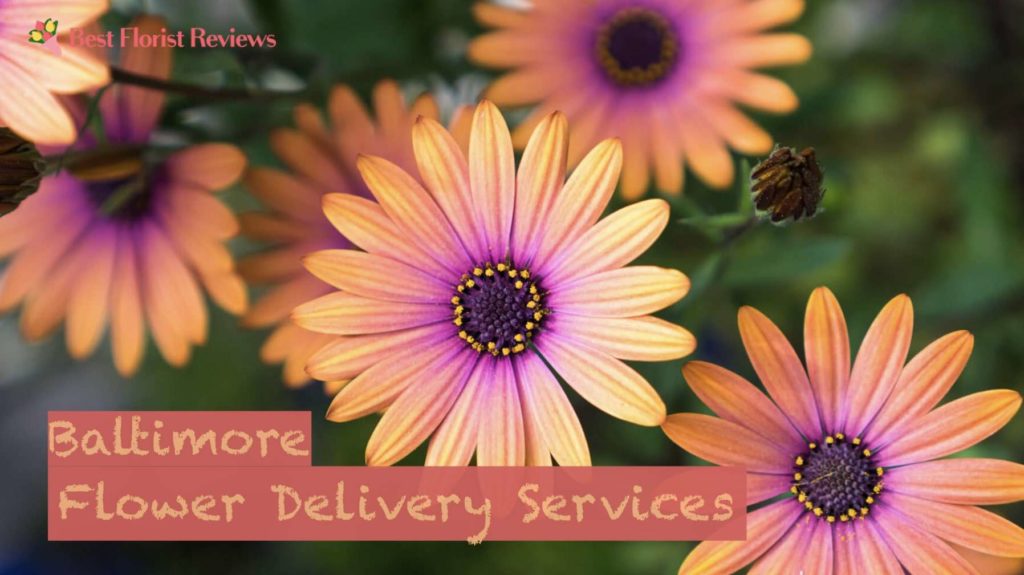 Best Flower Delivery in Baltimore