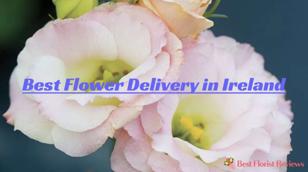 Best Flower Delivery in Ireland