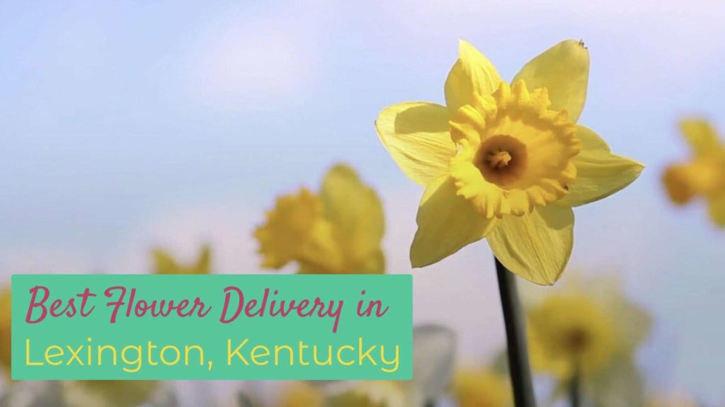 Best Flower Delivery in Lexington, Kentucky