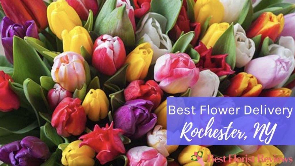 Best Flower Delivery in Rochester, NY