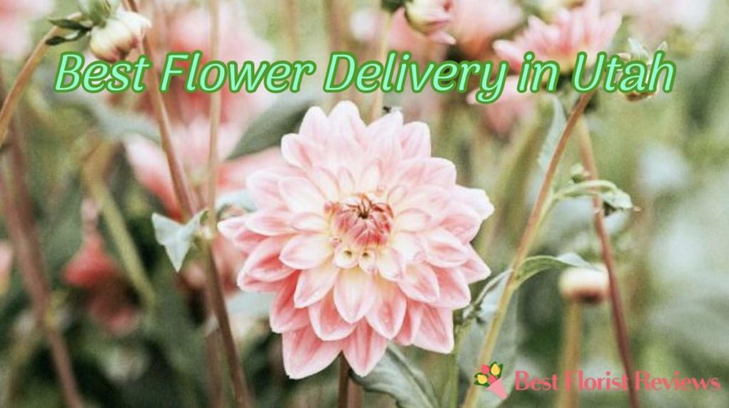 Best Flower Delivery in Utah