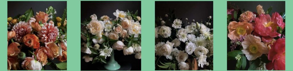 FLWR Shop's Flowers