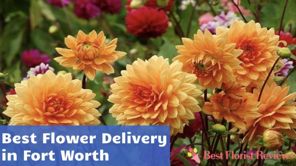 Best Flower Delivery in Fort Worth