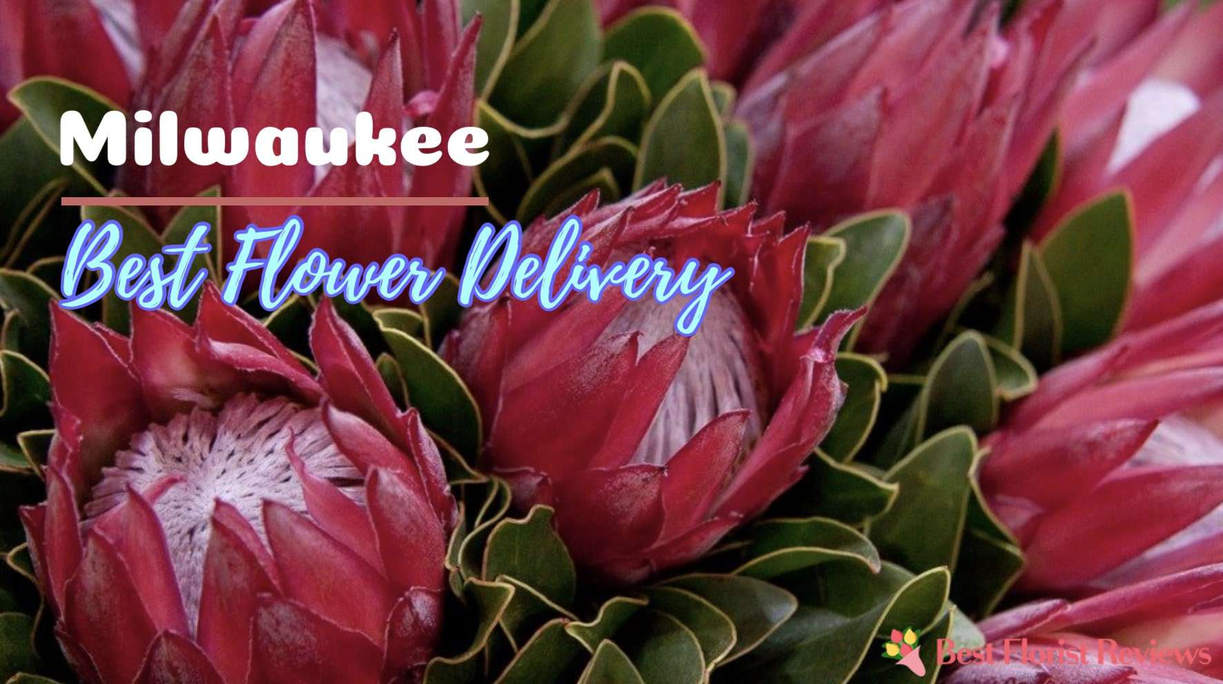 The 5 Best Options for Flower Delivery in Milwaukee [2022 ]