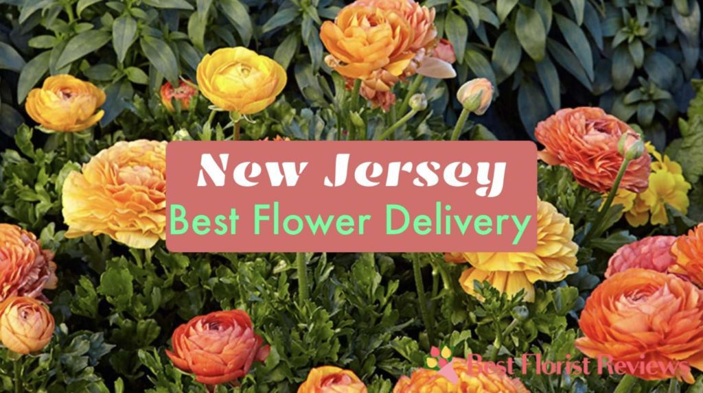 Best Flower Delivery in New Jersey