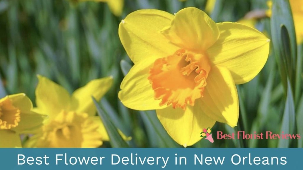 Best Flower Delivery in New Orleans