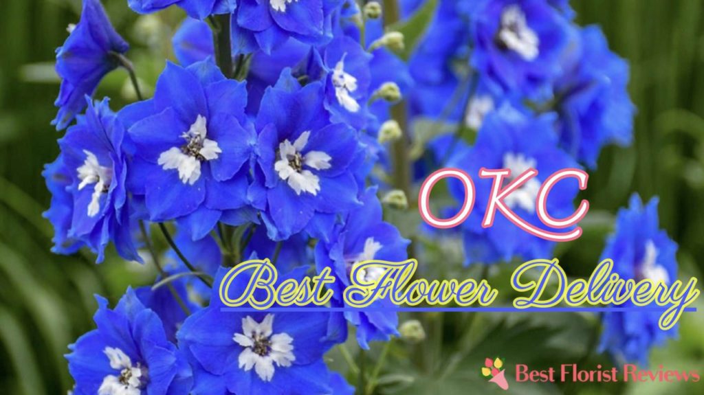 Best Flower Delivery in OKC