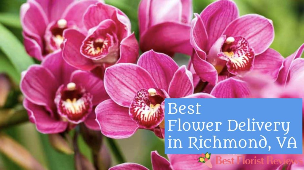 Best Flower Delivery in Richmond, VA